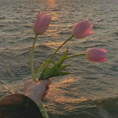 南宫28ng娱乐手机app下载截图